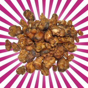 Psilocybe Pajaritos magic truffels