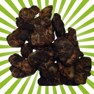 Psilocybe Mexicana magic truffels